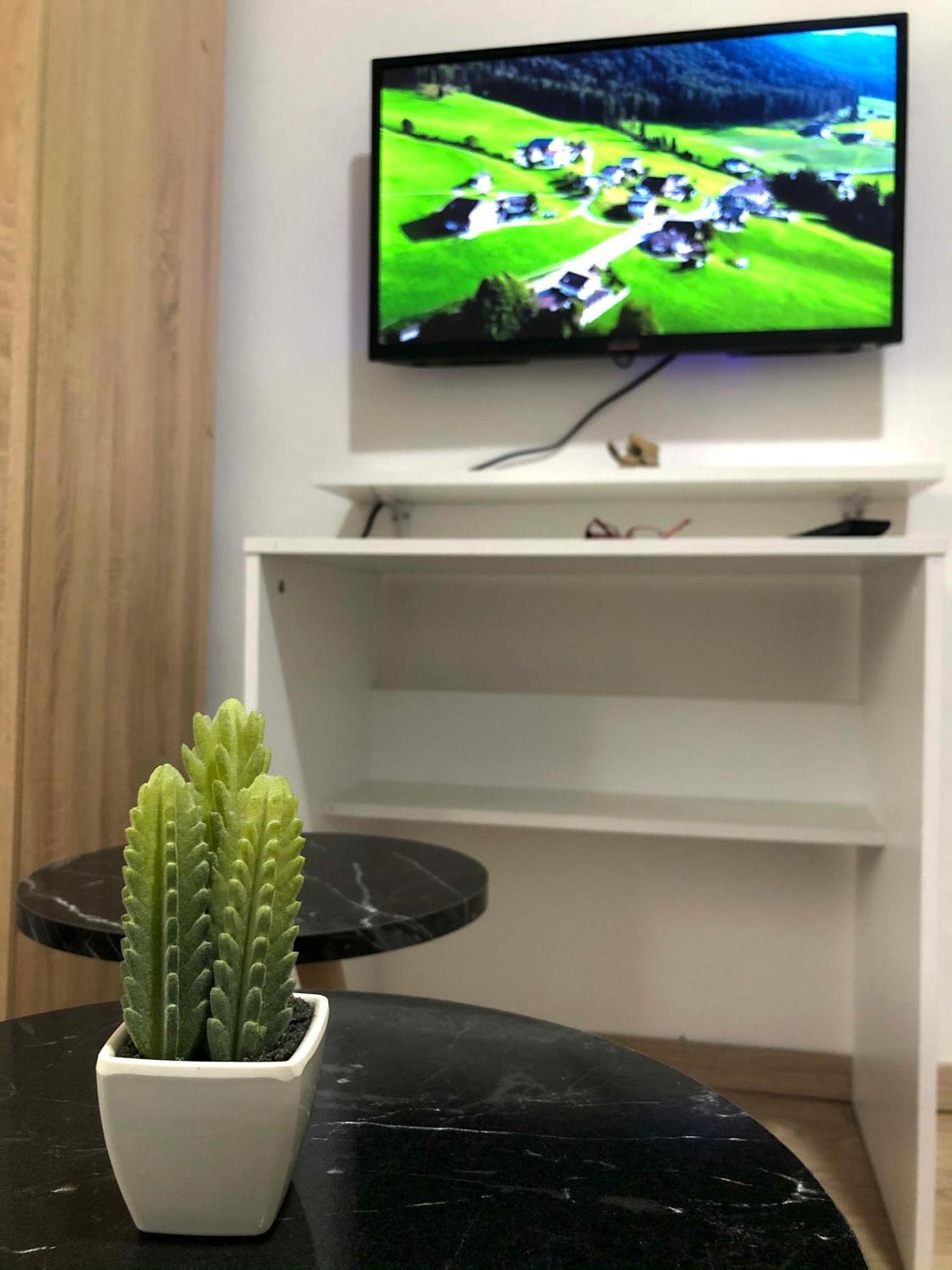 Center Studio Apartment Podgorica Buitenkant foto